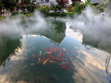 云南彌勒麗景酒店音樂噴泉及高壓冷霧